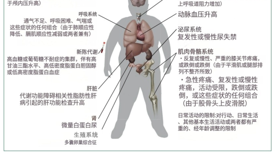 李嘉诚蝉联福布斯香港首富,老澳门开门奖历史记录2025,确保成语解释落实的问题_极速版V11.14