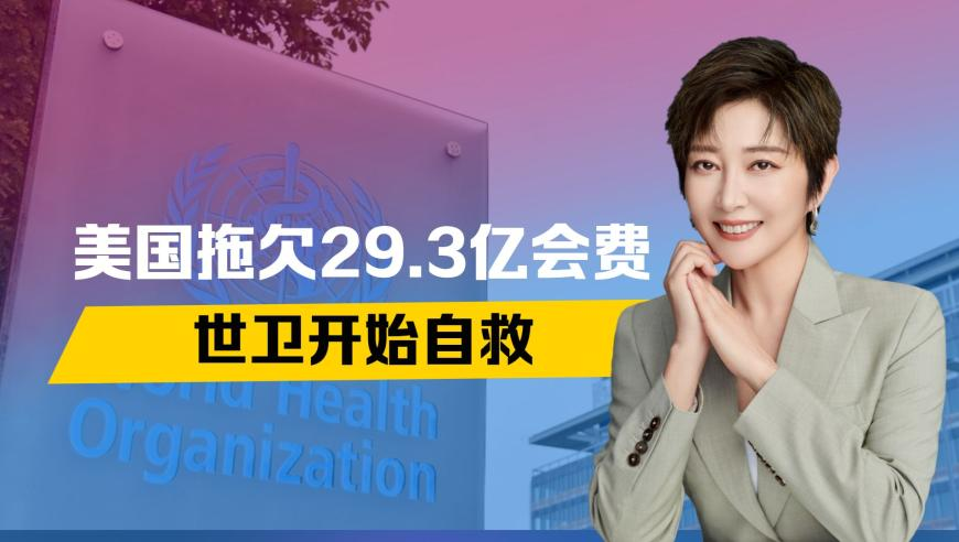 旺角彩二四六天空彩赢彩,coser还是对饺子导演下手了,收益成语分析落实_免费版V2.92