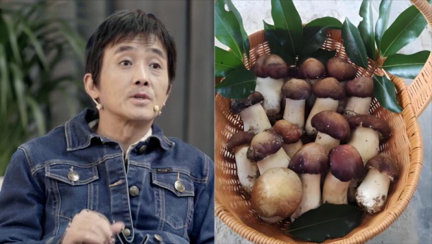 饺子导演因穷但坚持被投资人选中,澳门精准资料大全正版资料风险r,准确资料解释落实_iPadV15.68