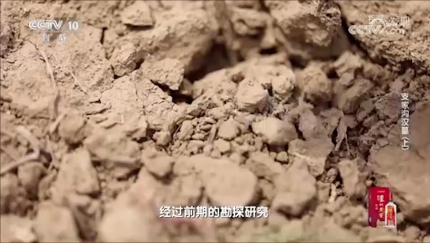 港澳宝典开奖结果网址,鹿晗 关晓彤,权威独家讨论与热门话题_开发版V13.98