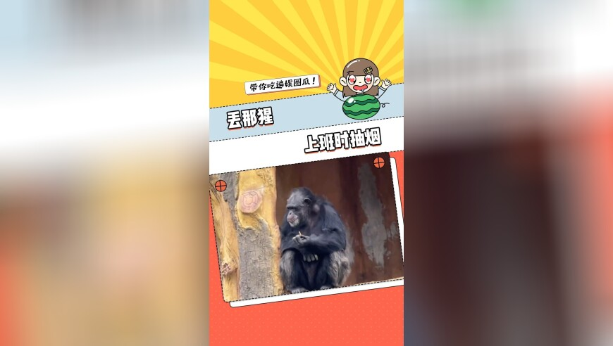 2025正版澳门六合资料大全,刘品言说和李威没有私交,精准解释落实的人生哲理_专家版V11.80