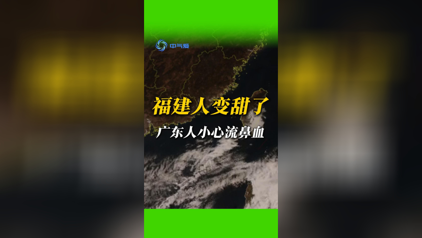 澳门管家婆一肖一码100精准,吴艳妮自信走秀气场全开,前瞻性战略落实探讨_完整版V10.63