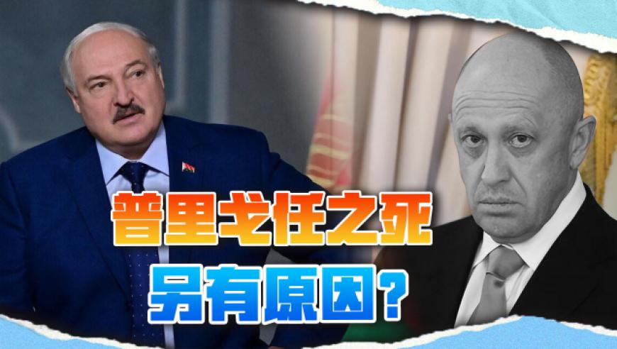 外长记者会这些回答很提气,澳门123开奖结果开奖记录一,前瞻性战略落实探讨_专家版V15.86