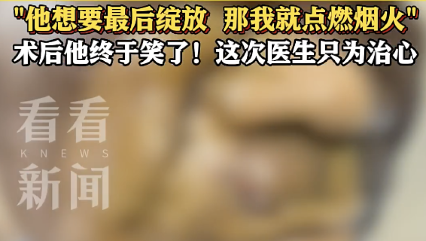 二四六天好彩944cc每期免费资讯图文80,人和人体质不同不能一概而论,最新热门解答落实_测试版V5.85