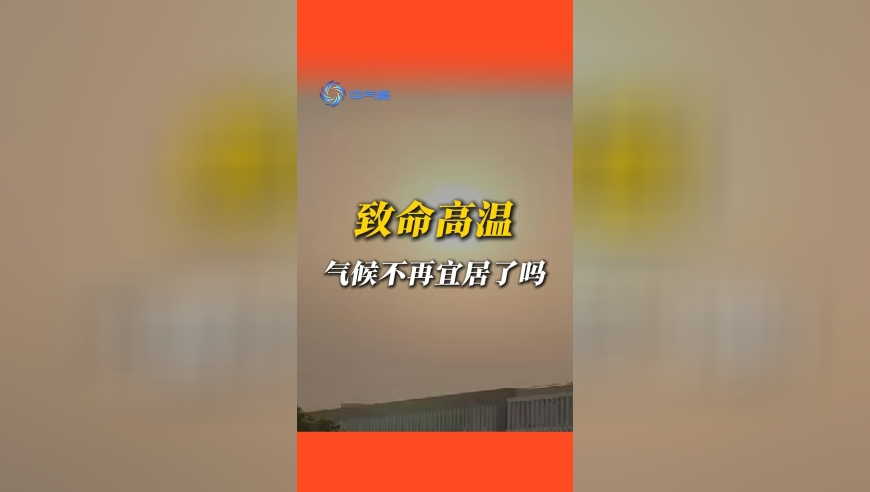 8777kjvip香澳六开彩开奖结果查询,结婚登记数量再度下探,最新答案解释落实_VR版V14.98